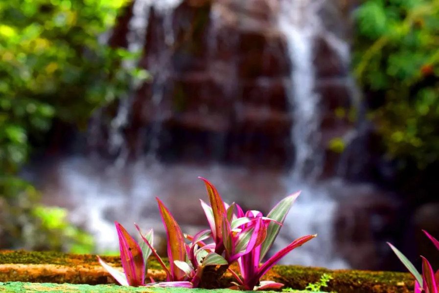 Hotel Moinho de Pedra