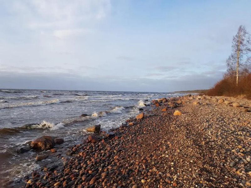 Romantic HOLIDAY HOME in the pine forest