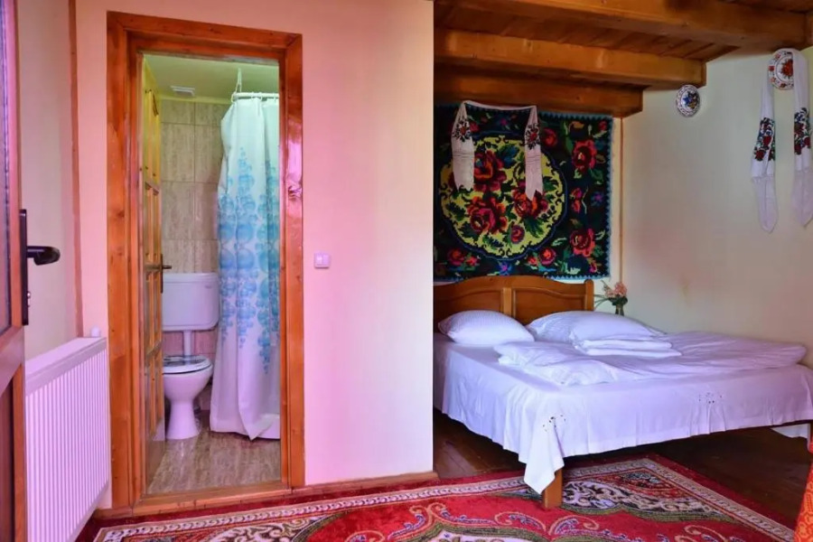 Pension Ioana Lavita