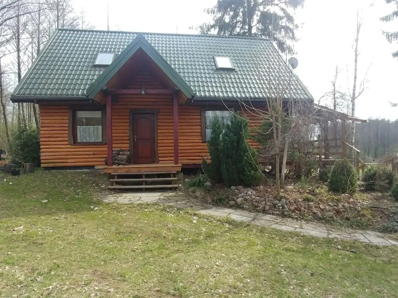 Rustic Riverside Cabin in Forest