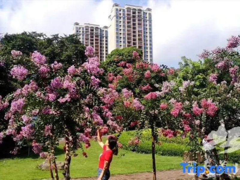 Wuzhou Business Hotel Beiliu