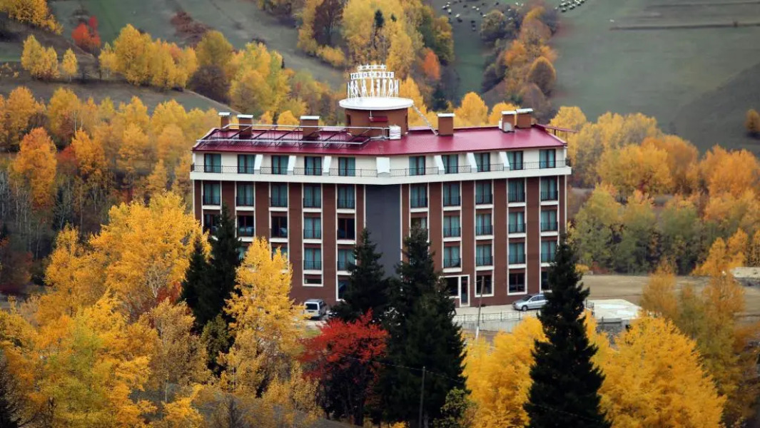 Black Forest Hotel