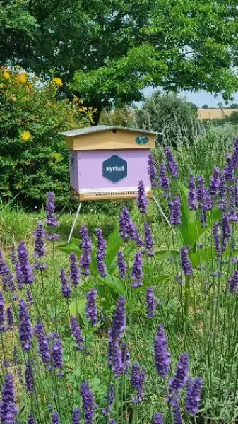 Kyriad Angouleme Nord - Champniers