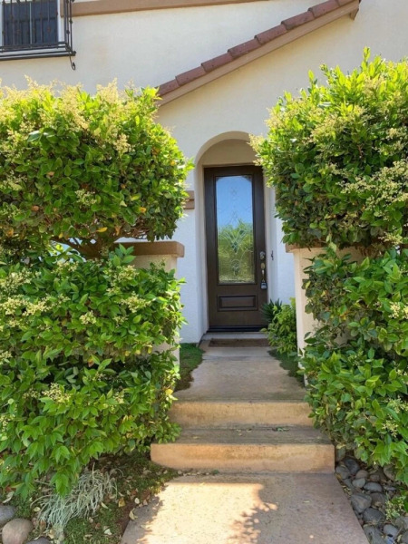 Luxury Custom Home in Oakdale Parkview