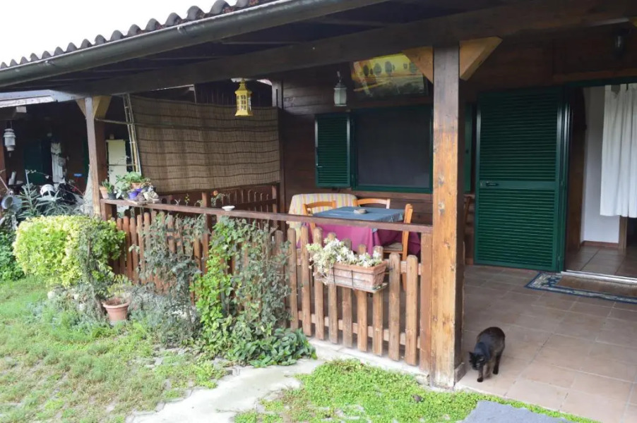 Villaggio Naif Mimosa