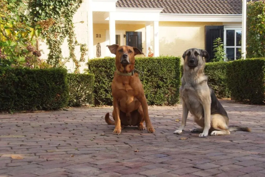 Beck's Bed and Breakfast