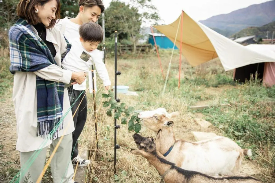 Tsuru BASE - Vacation STAY 12709v