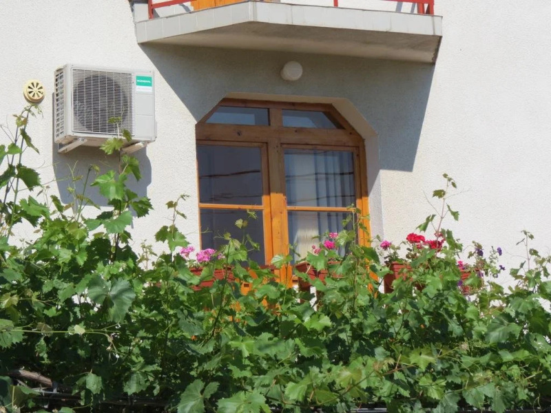 Guest House Gyuviyski