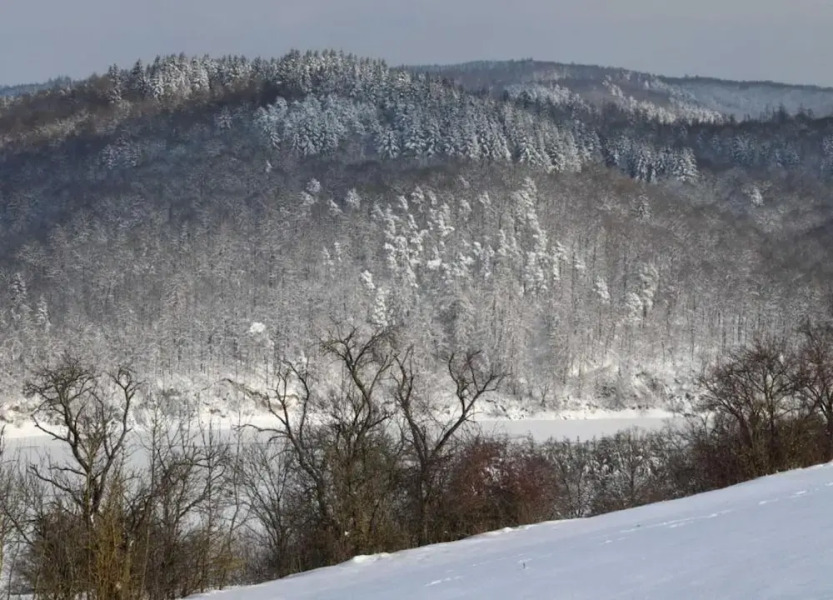 Ferienhaus in Hessen mit Grossem Garten