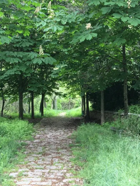 Alojamiento Rural Samburiel