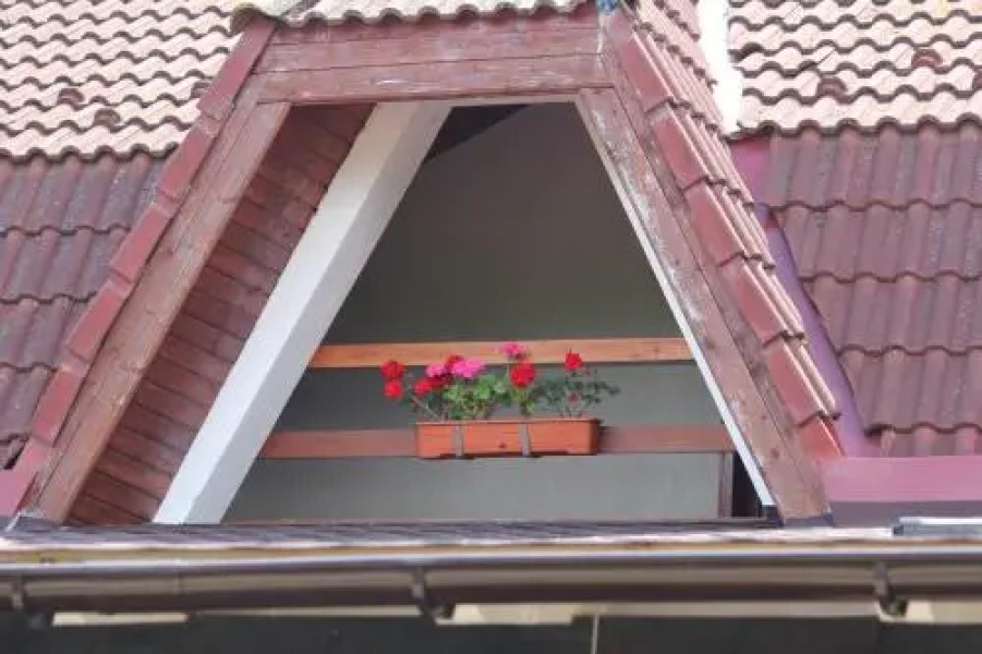 Pensiunea Perla Muresului