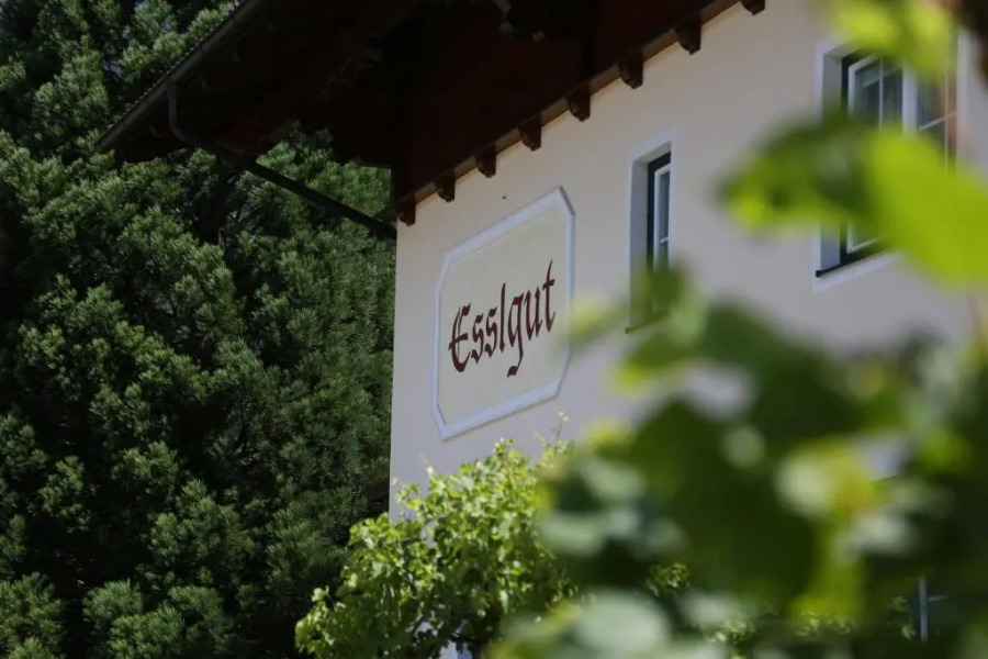 Appartments am Esslgut