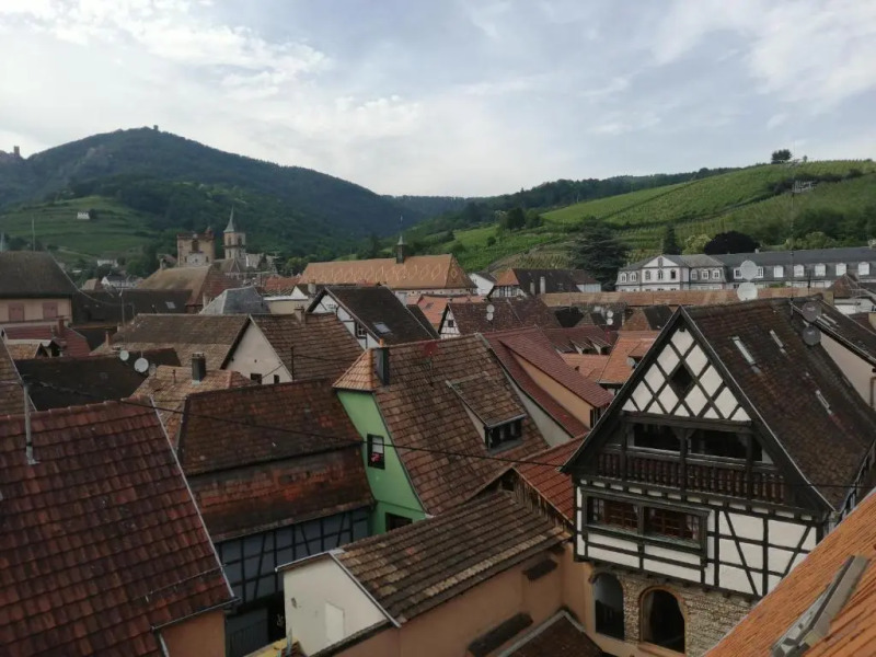 Gîte "Les papillons"