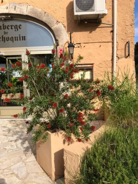 Auberge De Pachoquin