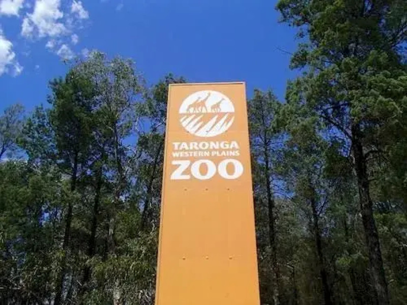 Manera Heights Apartments