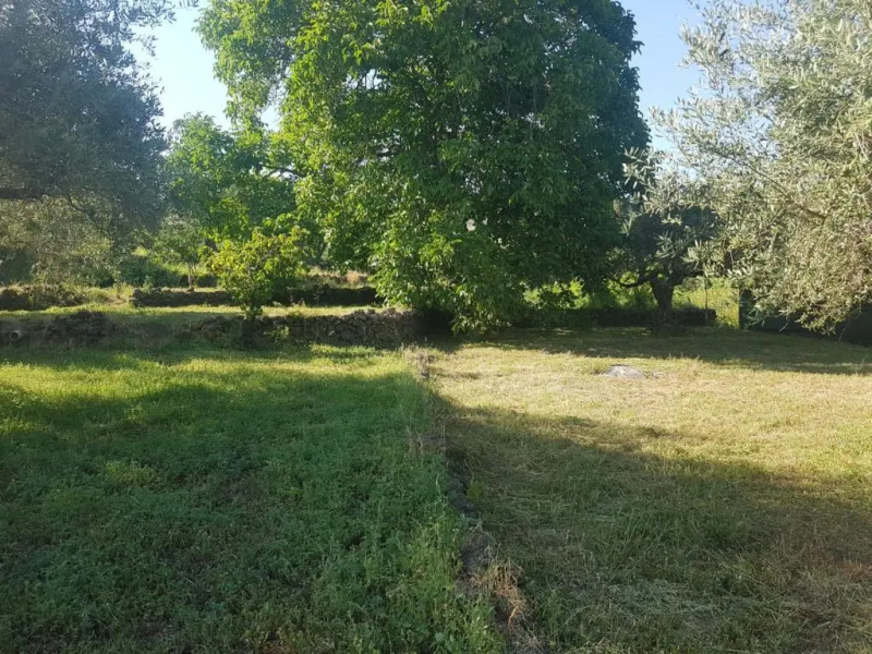 Barondi Holiday House