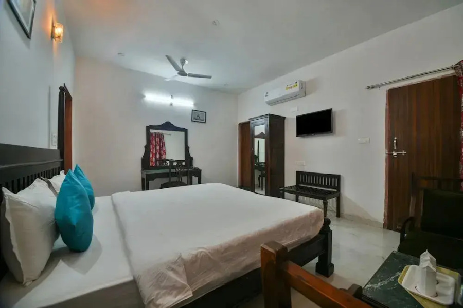 Palette-Jungle Camp By Thar Oasis