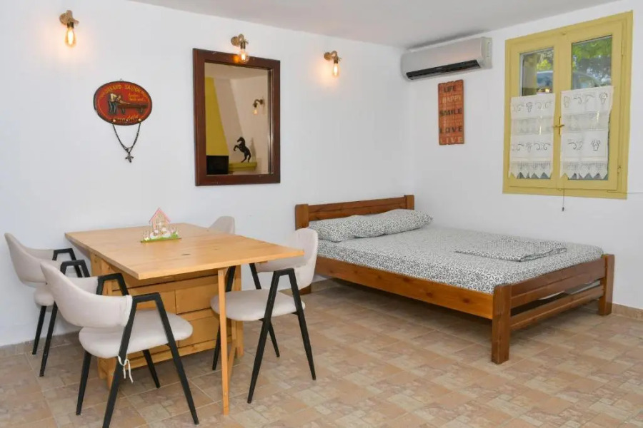 House in 10 acres of grass with horses