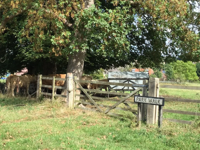 The Cherry Orchard B&B