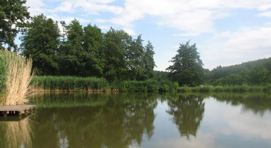 Szajkitavak Apartmanház és Kemping