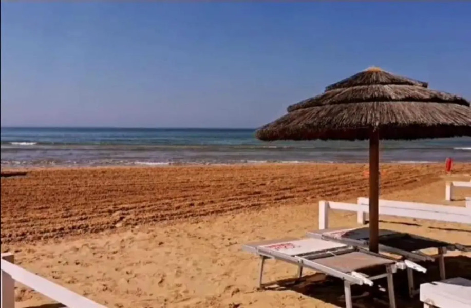 Urban Jungle Home (Borgo Rio Favara)