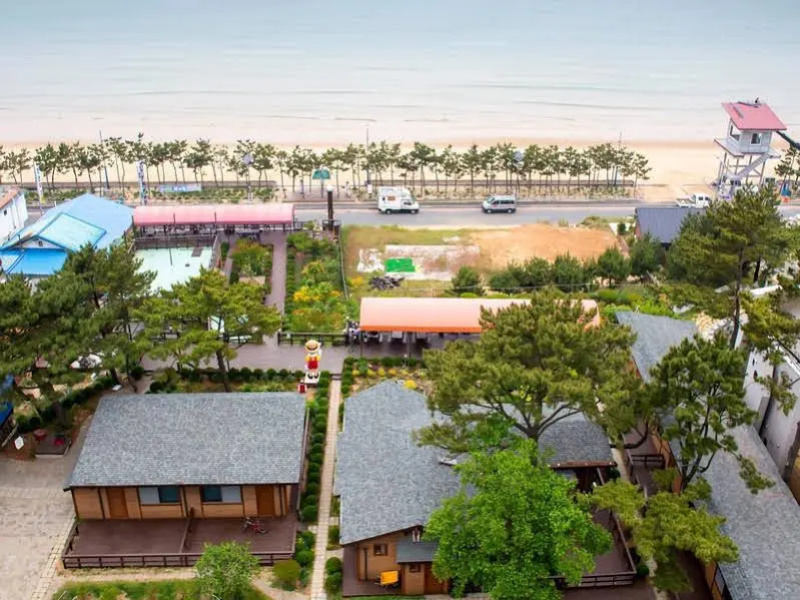 Taean Pinocchio Pension