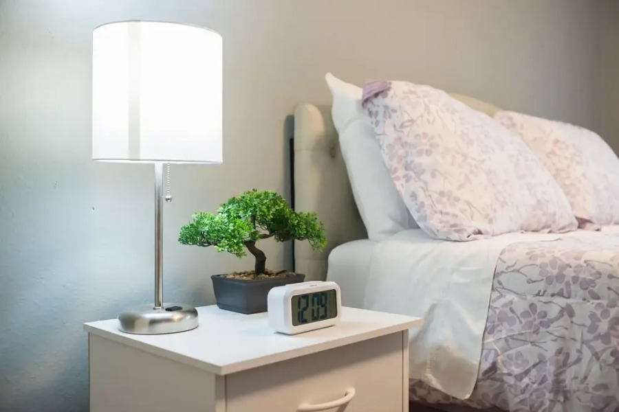 Happy Day Express Lovely 3 Bd Renton Retreat!