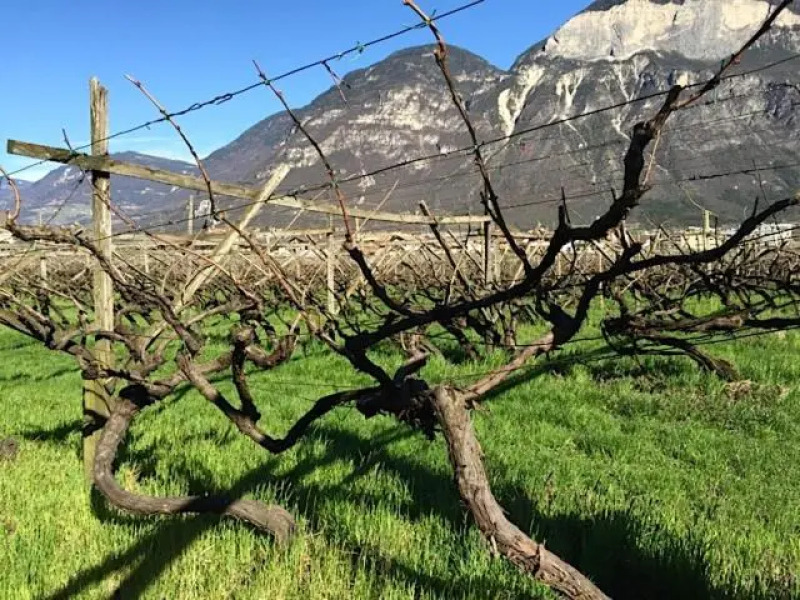 Ferienwohnung Eichnerhof