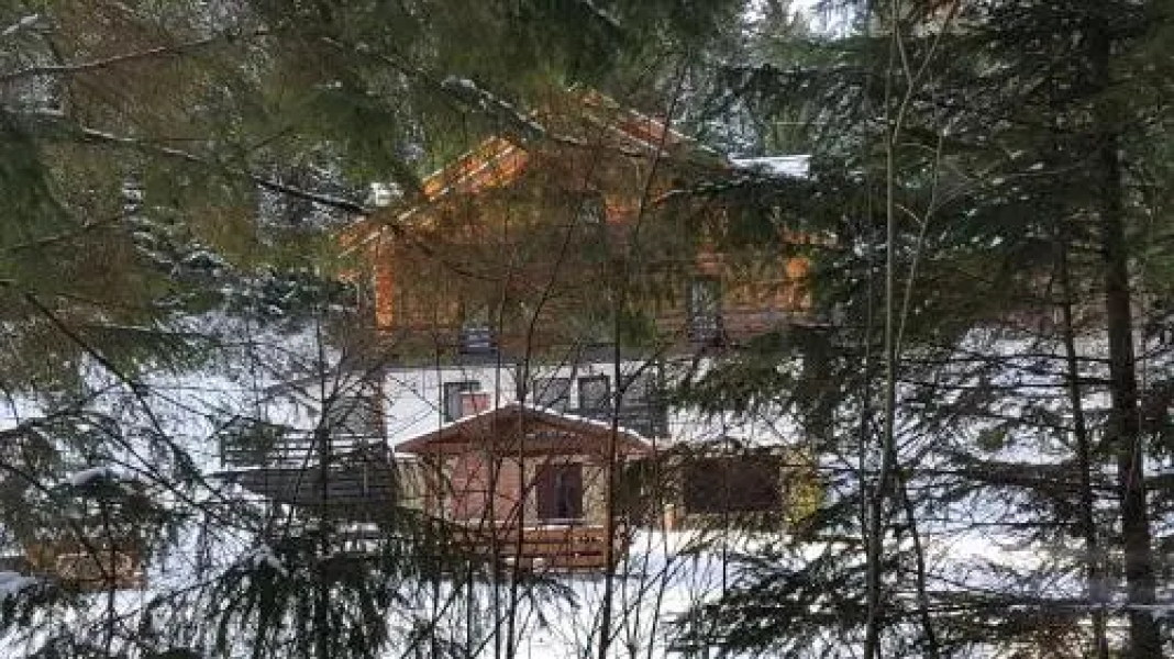 Pensiunea Waldhaus