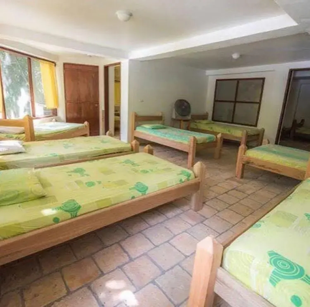 Jungle River Lodge