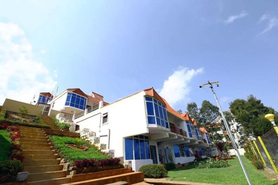 Tulips Elkhill Resorts