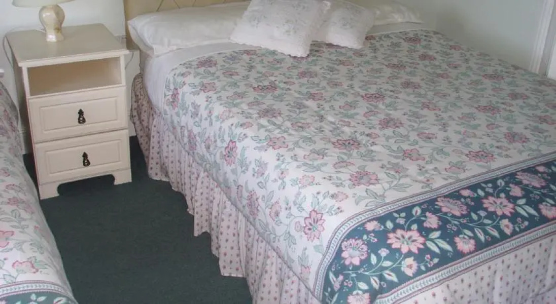 Springfield House B&B