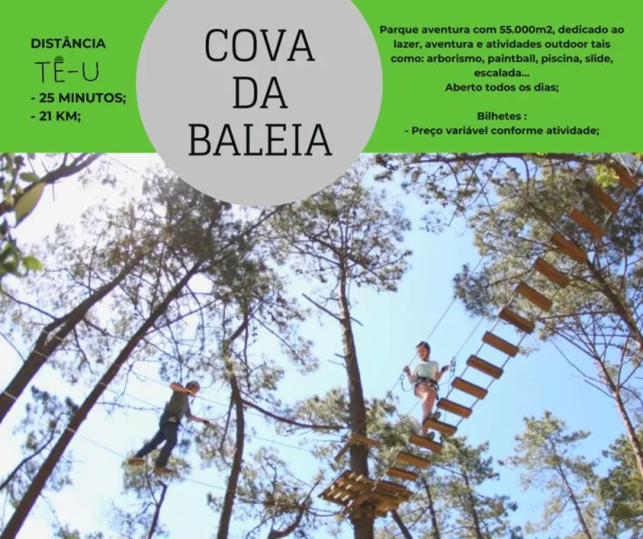 Apartamento T1 no centro TÊ-U