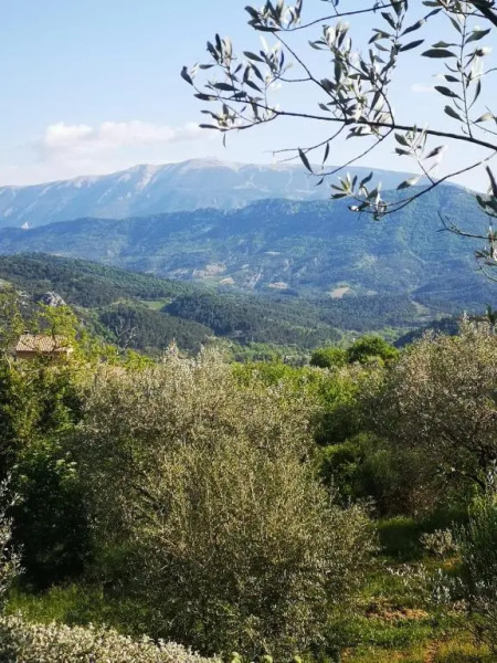Secluded House with Amazing View And Swimming Pool