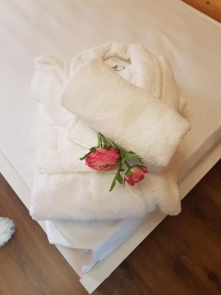 Вила Поликсения Петиня