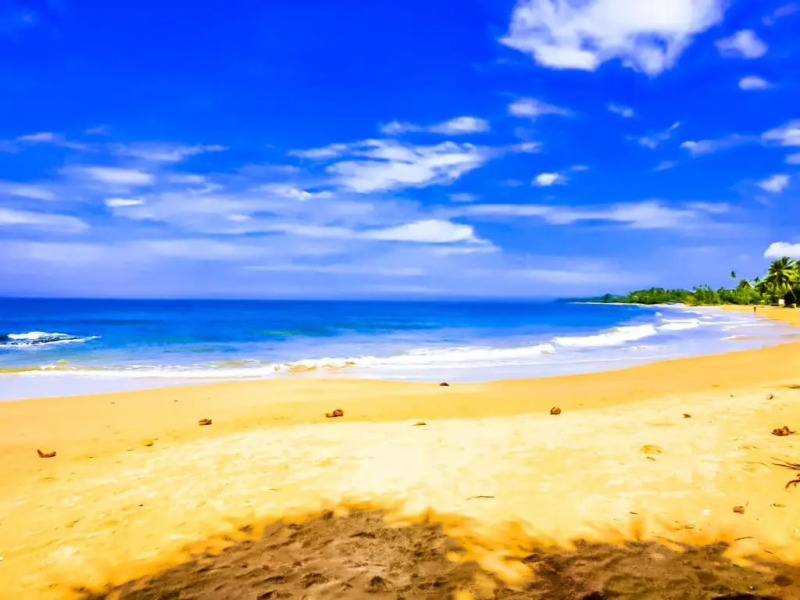 Paradise Ocean Homestay