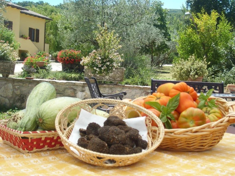 Fattoria Del Quondam