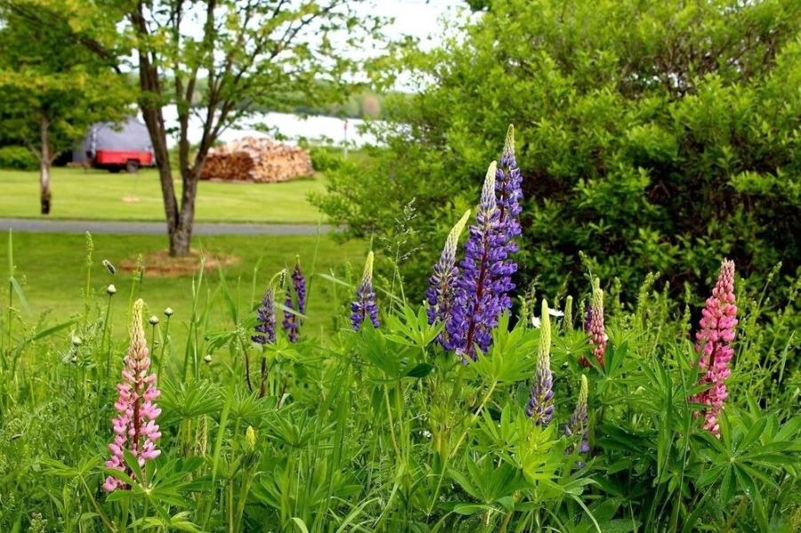 The Mission House Bed & Breakfast