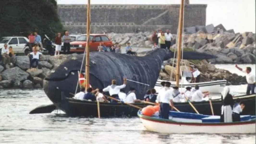 En el corazón de Orio - Donostia -Reformado- WIFI