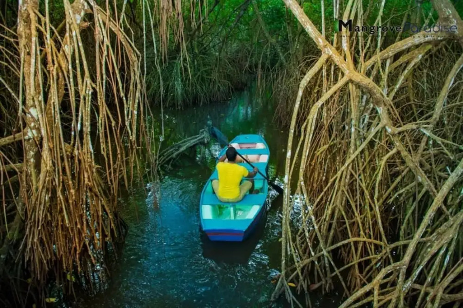 SOBA Ayurvedic Hostels