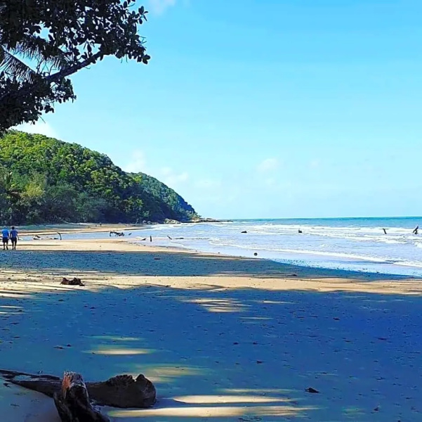Daintree Crocodylus Village