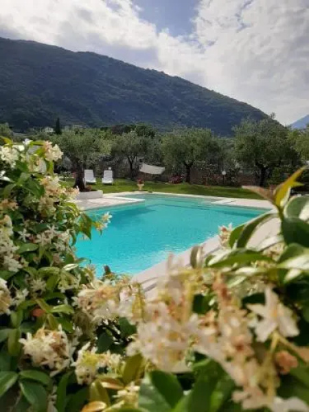 B&B L'Ulivo