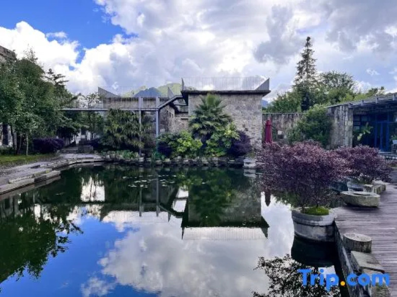 Yuanyang  Nuoma Amei Tea  Manor