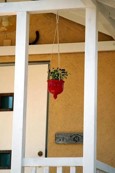 Bed & Breakfast Björkhyddan