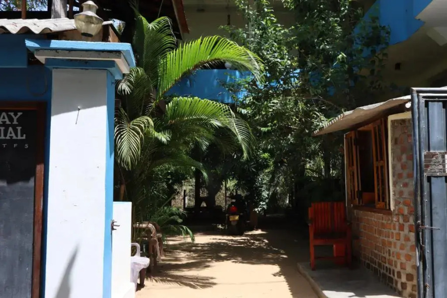 Surf Camp Arugam bay