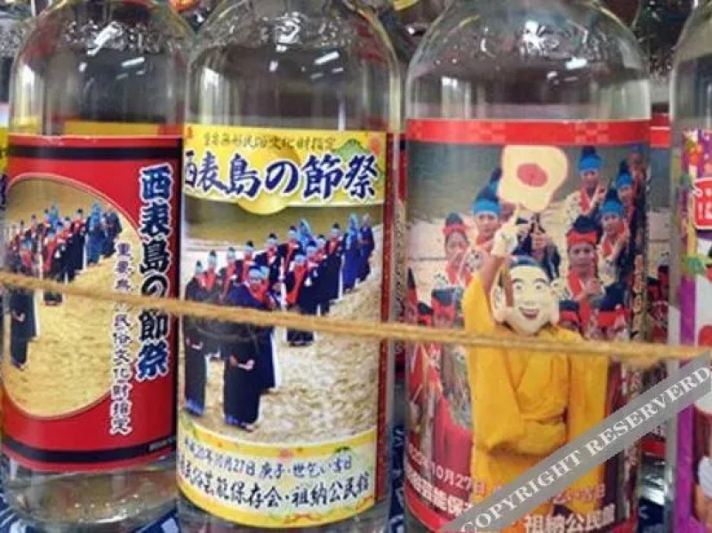 Iriomote Island Hotel