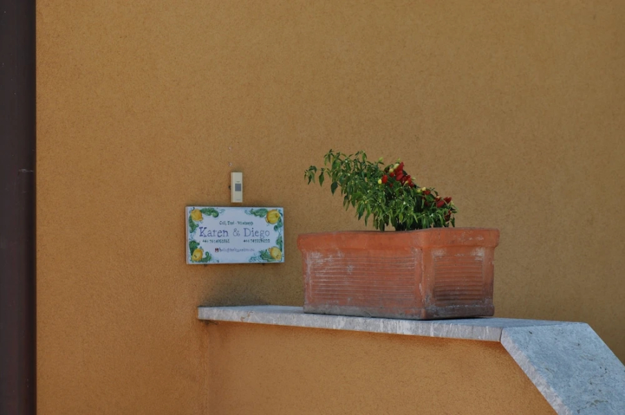 The Lemon Tree