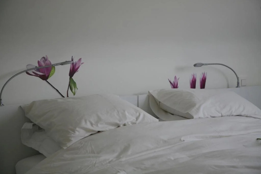 B&B Kanegem Onverbloemd