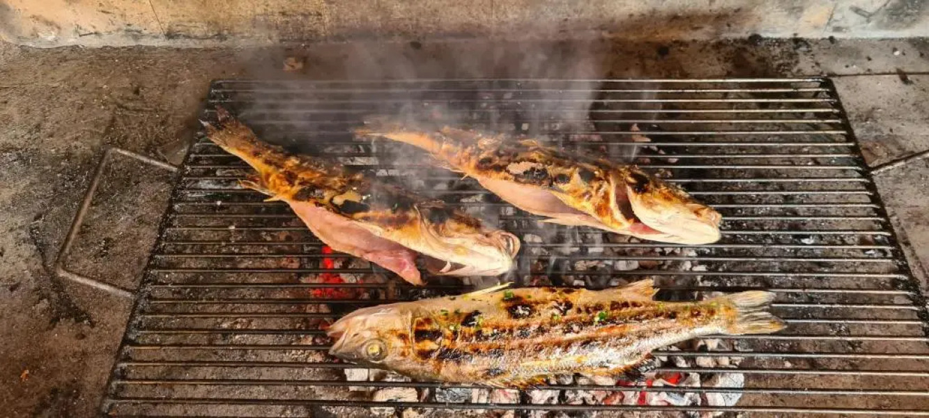 Apartments Pakostane