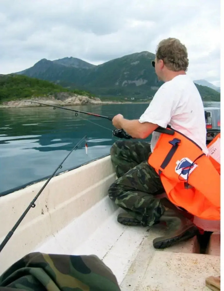 7 Person Holiday Home in Stonglandseidet